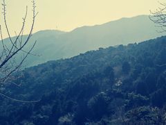 -香山公园