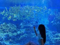 -海合安成都极地海洋公园