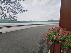 -水上明月·湖景餐厅