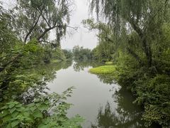 -西溪国家湿地公园