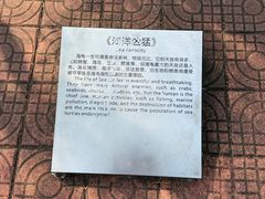 -广东惠东海龟国家级自然保护区