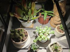 -巴别塔法餐舍(朝阳店)