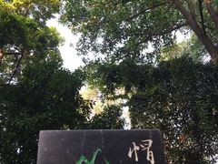 -广州市帽峰山景区