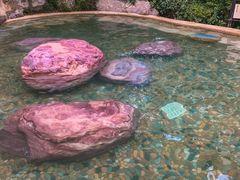 -天目湖涵田半山温泉