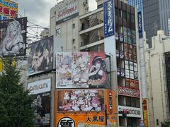 -秋叶原电器街