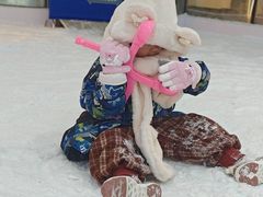 -世界之窗阿尔卑斯冰雪世界