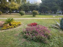 -辽宁大学(崇山校区)