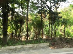 -铁山坪森林公园