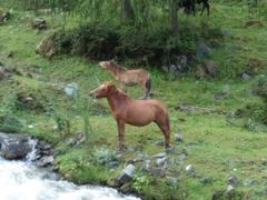 -硗碛藏寨·神木垒景区