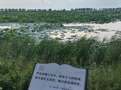 -卧龙湖