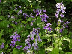 -长春公园(普阳街道)