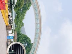 -南山植物园