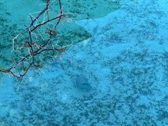 -卡帕莱度假村(西巴丹岛)