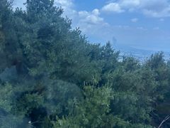 -苍山感通索道