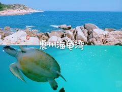 -广东惠东海龟国家级自然保护区