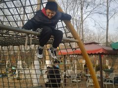 -合肥滨湖国家森林公园