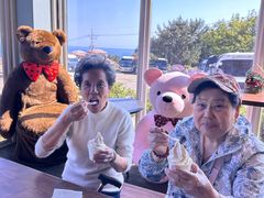 -济州岛泰迪熊博物馆