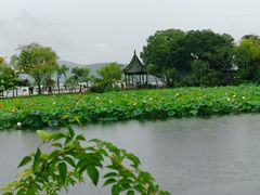 -无锡蠡湖国家湿地公园-蠡园