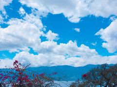 -南诏风情岛