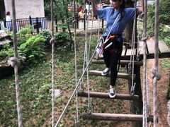 -梦幻奥陶纪景区