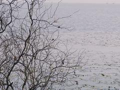 -西昌邛海湿地