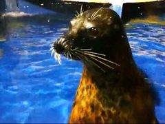 -太平洋海底世界博览馆·展览厅