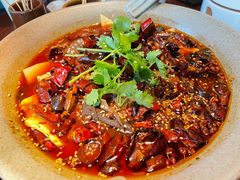招牌毛血旺-映水芙蓉(上海万象城店)