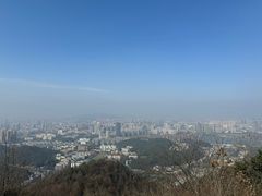 -茶颜悦色(岳麓山顶店)