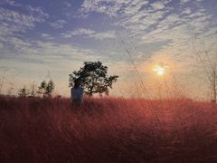 -汉长安城未央宫国家考古遗址公园