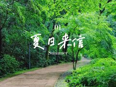 -虎跑公园