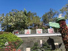 -仙岳公园