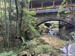 -藏龙百瀑风景区