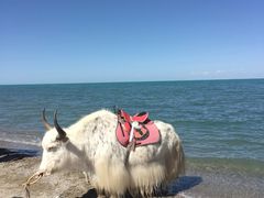 -青海湖国家重点风景名胜区