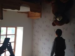 iphone_upload_pic-金山农民画村-枫泾波兰倒置屋