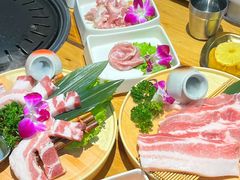 -多乐熊烤肉·俪米鸡(家佳源店)