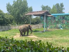 -西安秦岭野生动物园