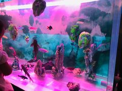 -梦幻海洋王国(吾悦广场张家港店)