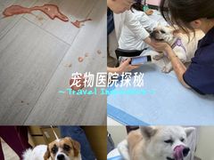 -美联众合动物医院·24h转诊中心