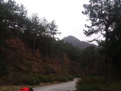 -木兰云雾山