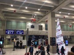 -戴高乐机场火车站