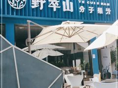 -野萃山·潮汕厚果汁(十亩地店)