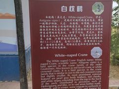 -南大港湿地风景区