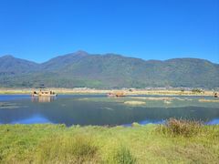 -腾冲北海湿地