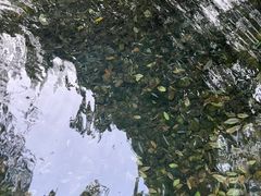 -西湖风景区十里琅珰-五云山