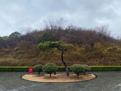 -洛阳古墓博物馆