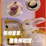 杭州首家巨兔体验馆🐰少女心溢出屏幕啦💗