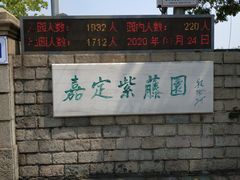 -嘉定紫藤园