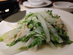 -佬肥猫(国华广场店)