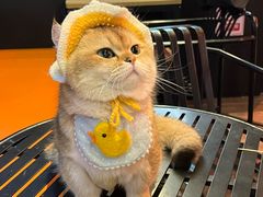 -龙湖重庆时代天街