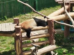 -沈阳森林动物园